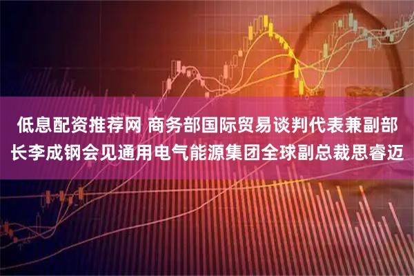 低息配资推荐网 商务部国际贸易谈判代表兼副部长李成钢会见通用电气能源集团全球副总裁思睿迈