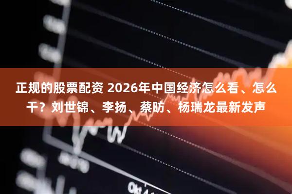 正规的股票配资 2026年中国经济怎么看、怎么干？刘世锦、李扬、蔡昉、杨瑞龙最新发声