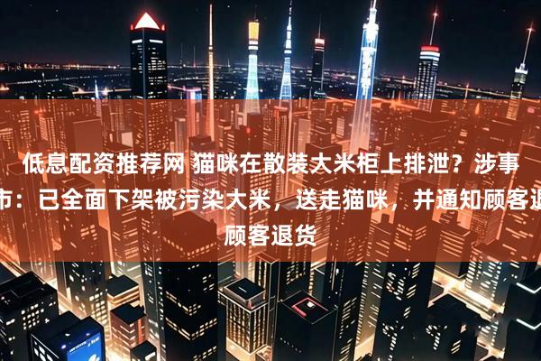 低息配资推荐网 猫咪在散装大米柜上排泄？涉事超市：已全面下架被污染大米，送走猫咪，并通知顾客退货